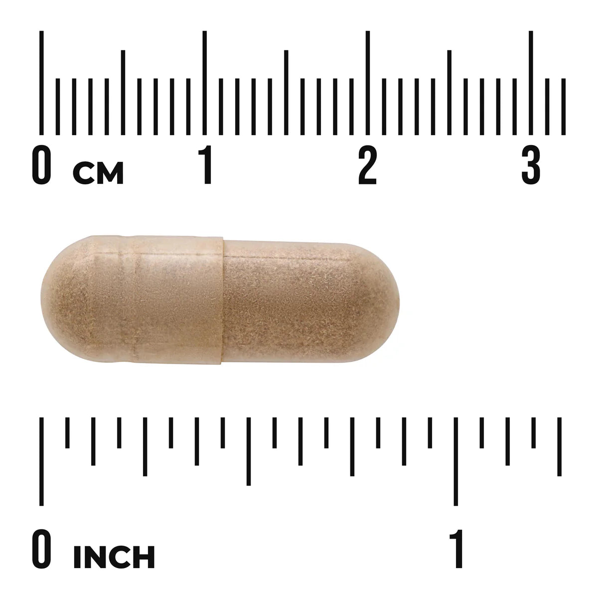 Swanson Arjuna Bark Standardized 500mg 60 Veggie Capsules size comparison with measurement scale