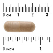 Swanson Full Spectrum Catuaba Bark 465mg 60 Vegan Capsules size comparison with measurement scale