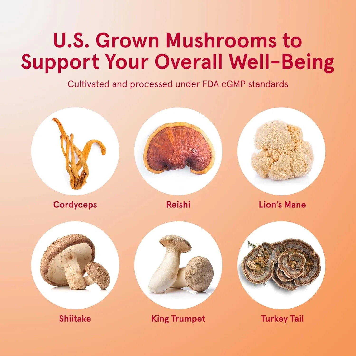 Jarrow Formulas Immune Optimizer Mushroom Complex