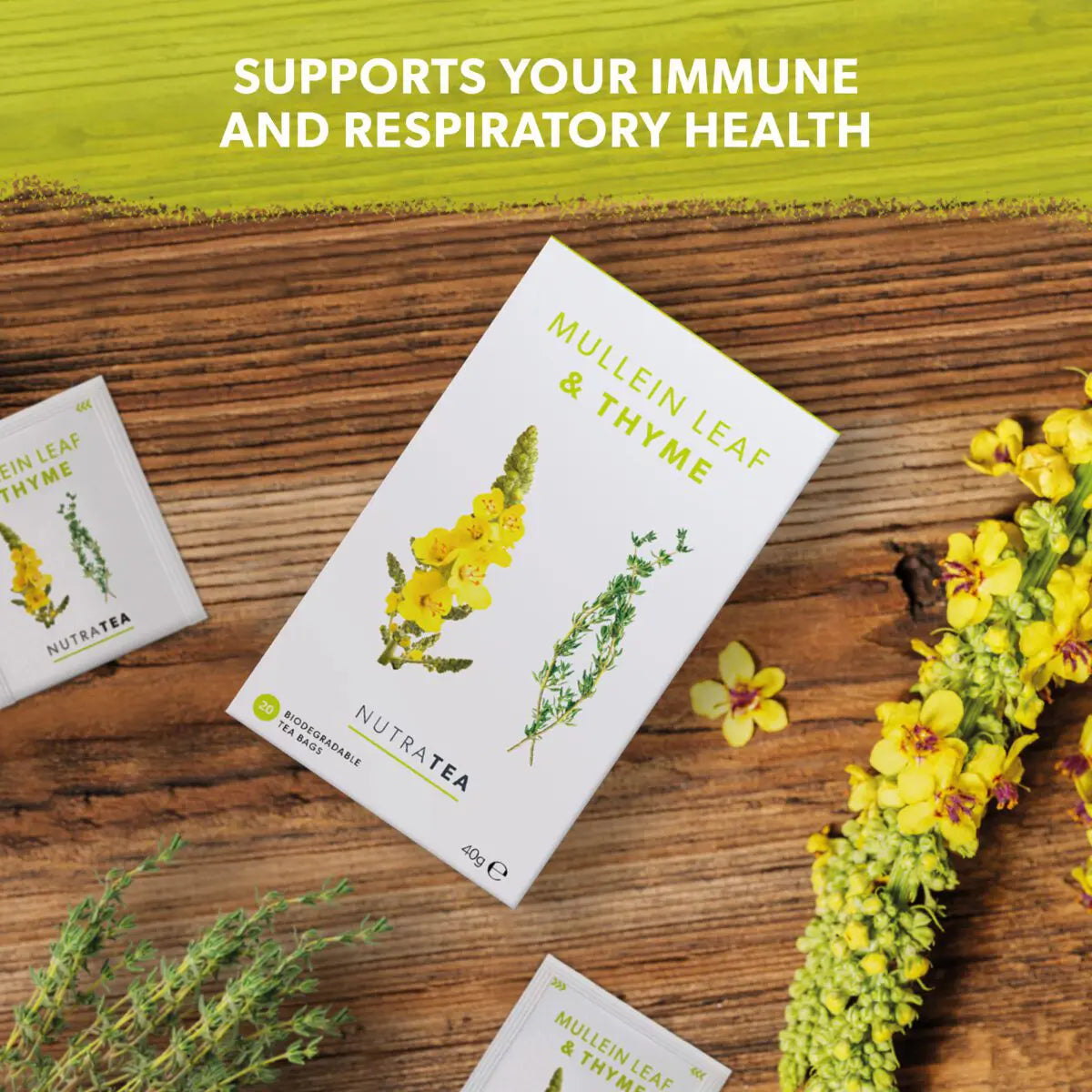Nutra Tea: Mullein Leaf & Thyme Respiratory & Immunity