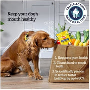 Pedigree Dentastix Medium Dogs 105 Sticks packaging showing product features and feeding information