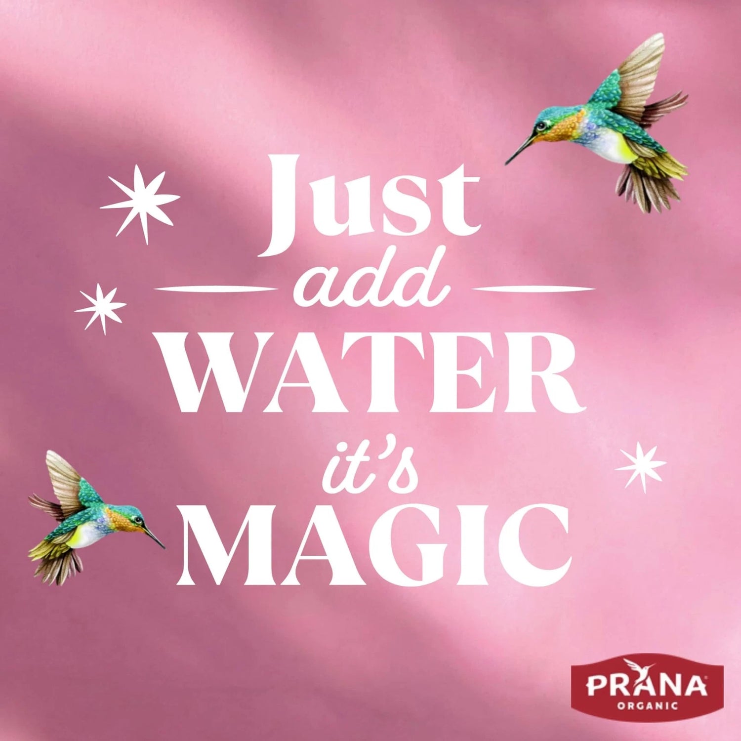 Prana Organic Overnight Chia Berry Fairies with Oats 800g overnight breakfast preparation